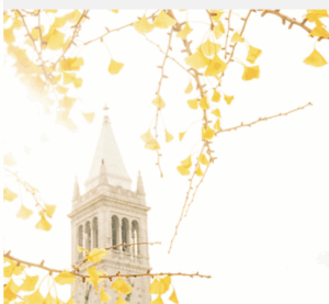 Campanile image